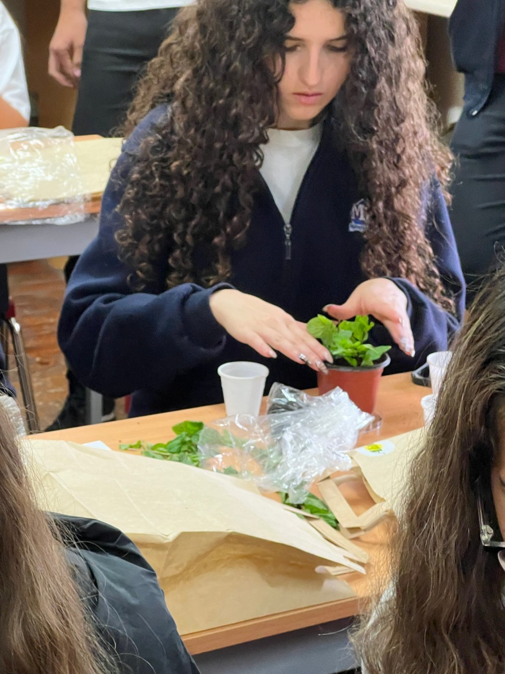 Net Zero for&nbsp;Youth